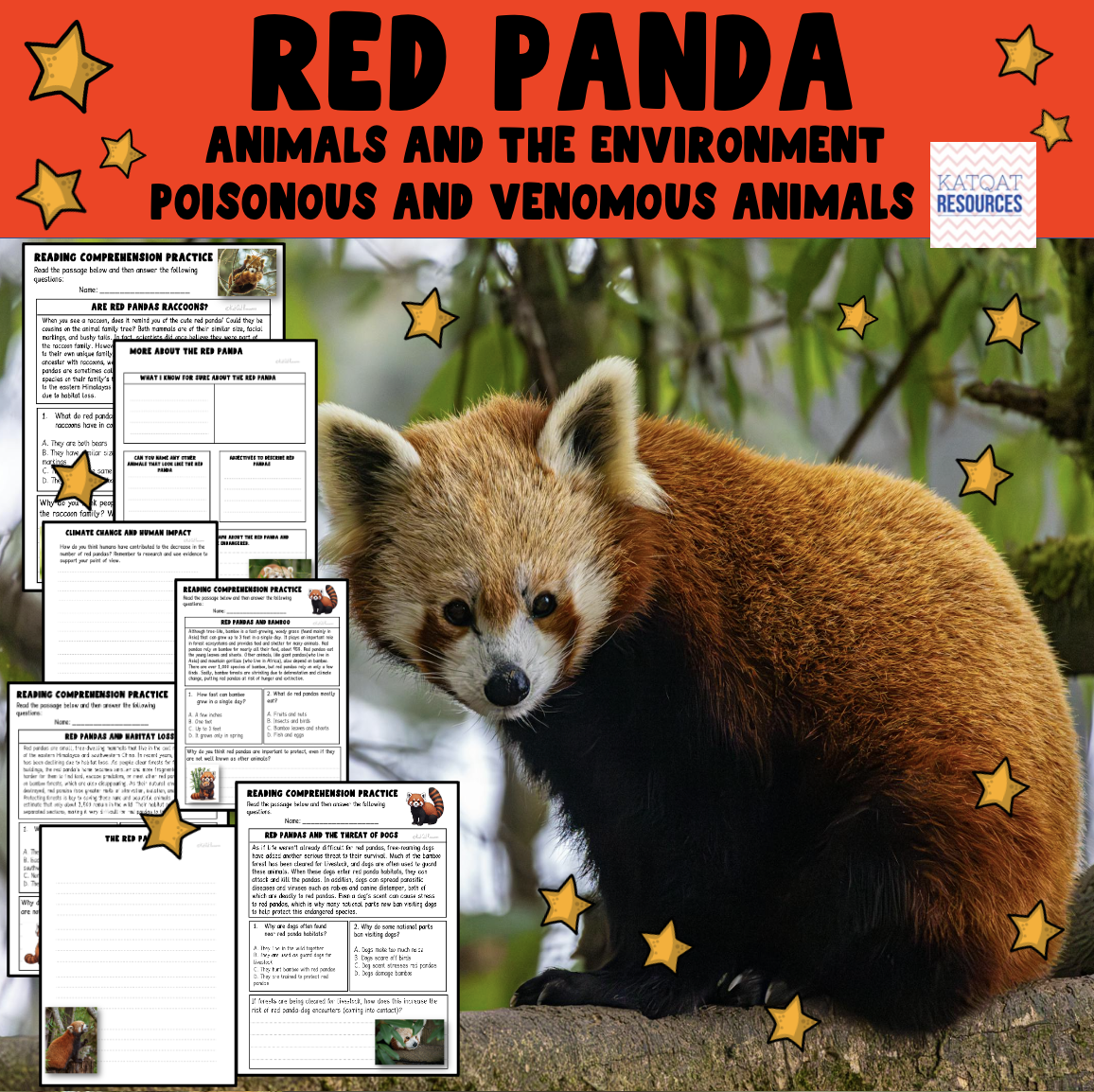 pdf, 3.23 MB