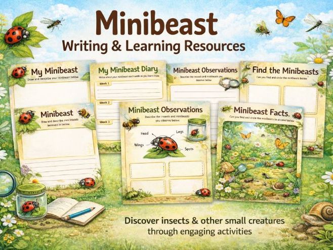 EYFS Mini Beast Planning and Resources.
