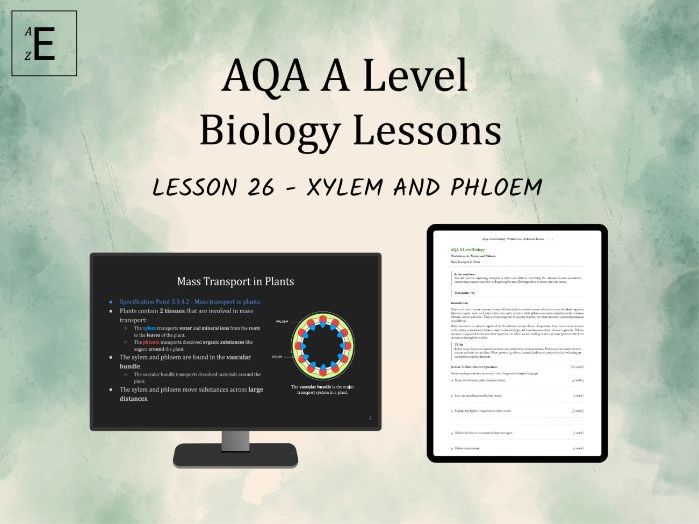 AQA A Level Biology Lesson 26 - Xylem and Phloem