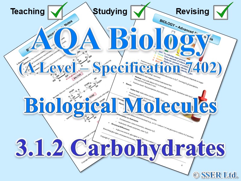 BIOA_AQA Topic Notes: 3.1.2 Carbohydrates