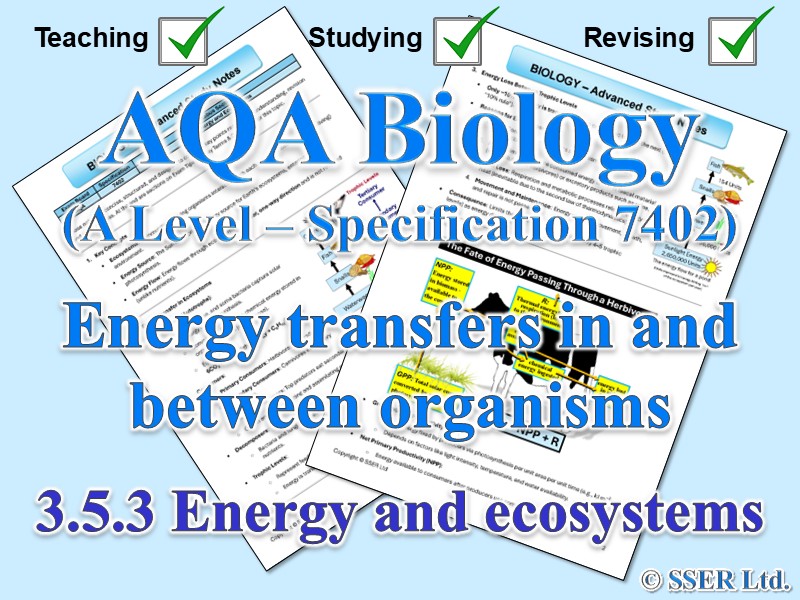 BIOA_AQA Topic Notes: 3.5.3 Energy and ecosystems