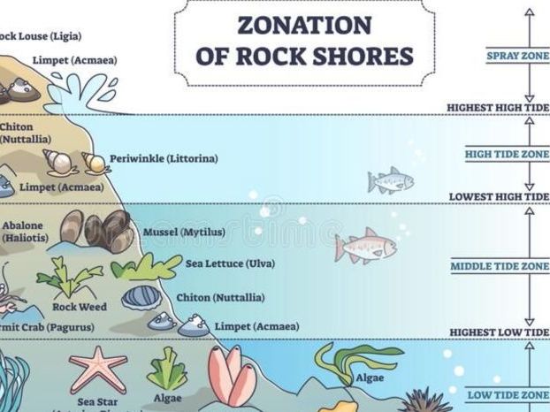 ESS 2.5 Succession, Zonation and change in Ecosystems first exams 2026