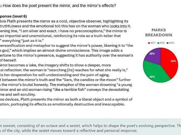Unseen Poetry - Mirror by Sylvia Plath