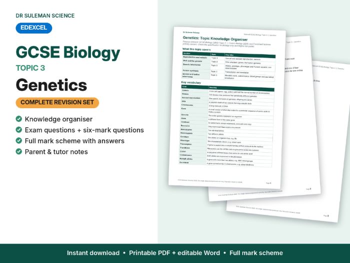 Edexcel GCSE Biology Topic 3 Genetics Revision + Exam Questions