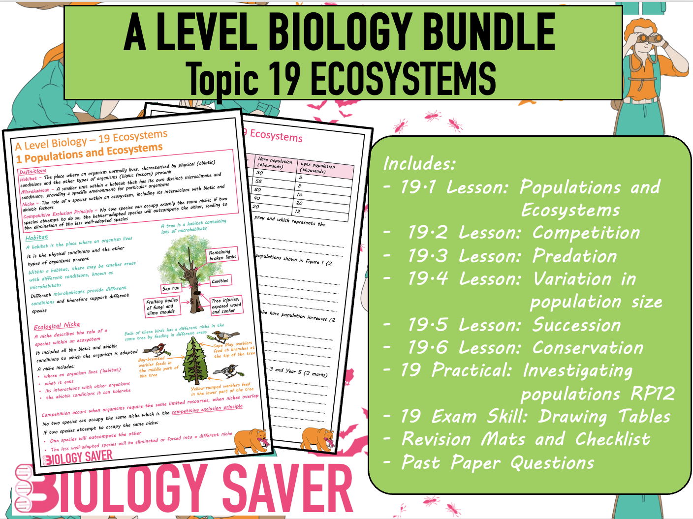 A Level Bio Bundle - 19 Ecosystems