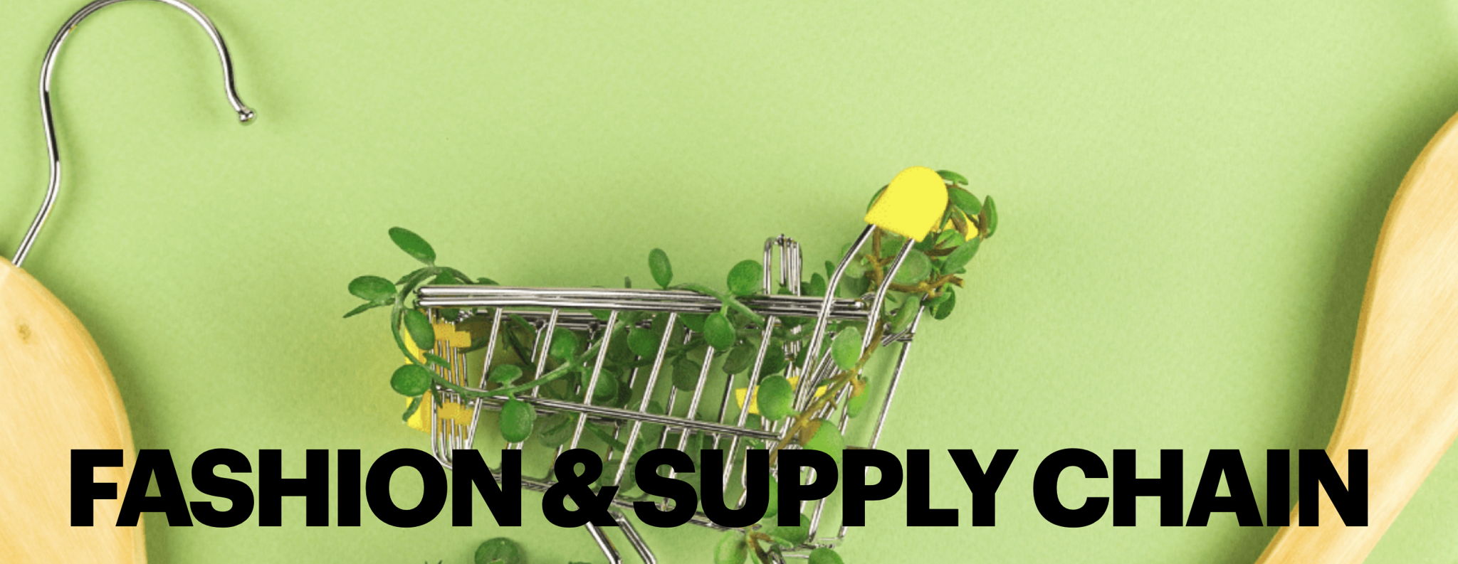 Fashion & Supply Chain Learning Bundle Explore sustainability, legislation, and strategic innovation in the fashion supply chain — from concept to circularity.