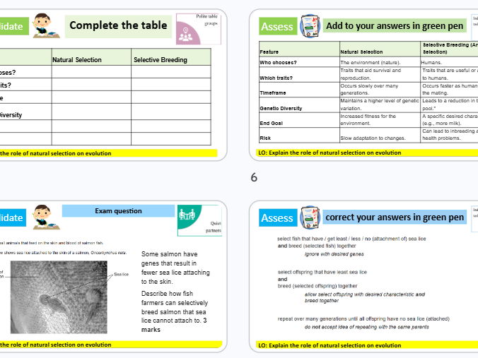 Evolution revision GCSE Combined Science AQA