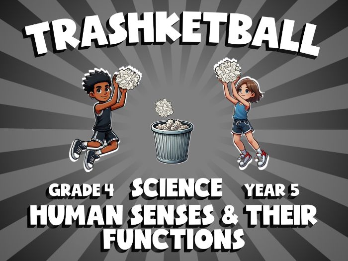 Human Senses & Their Functions TRASHKETBALL Science Game | No-Prep Year 5 Review Activity