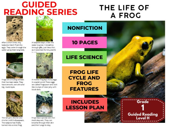 Guided Reading Level H - The Life of a Frog (with Lesson Plan)