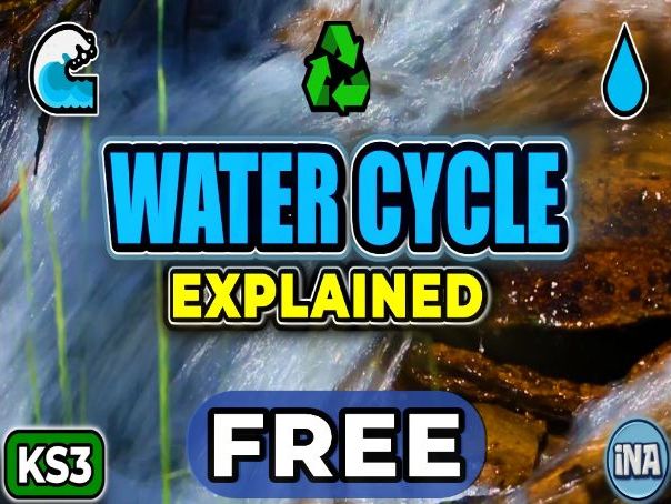 The Water Cycle - FREE KS3 Geography Worksheet
