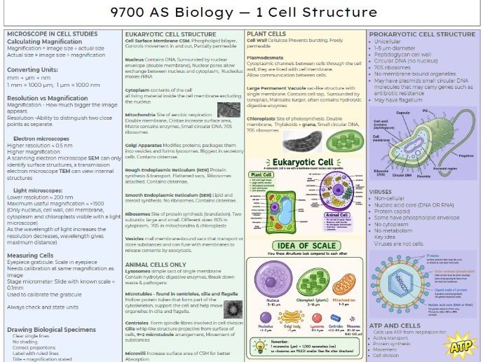 AS Biology - Cells Knowledge Organiser