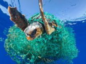 Materials - Understanding Polymers