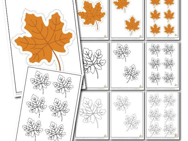 Maple Leaf Template Activity Set Cutting, Coloring & Tracing for Preschool, Art Projects & Scrapbo