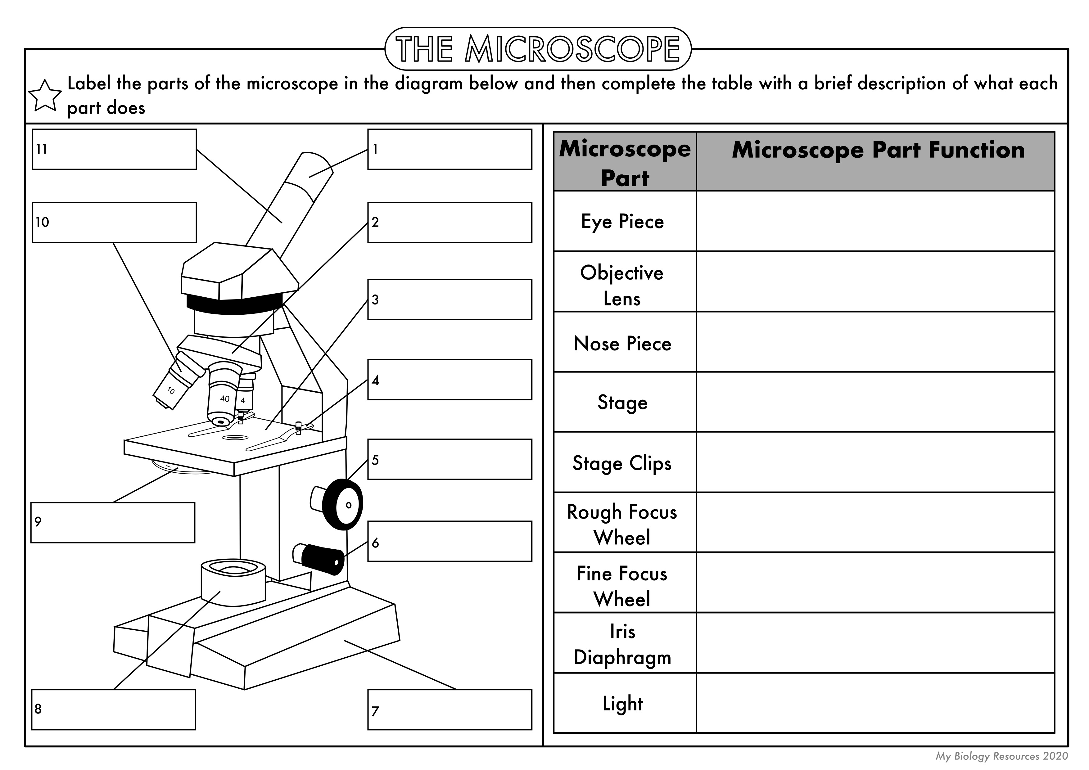 Gcse Biology Cell Biology Worksheet Pack Updated Teaching Resources