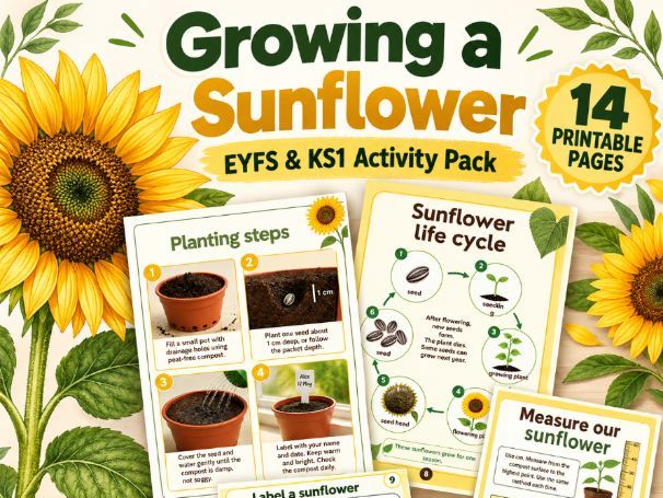 Growing a Sunflower Activity Pack | EYFS & KS1 | Plant Life Cycle & Worksheets