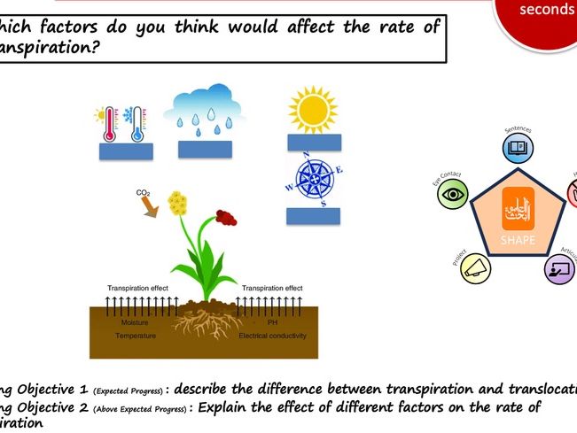 Transpiration and translocation