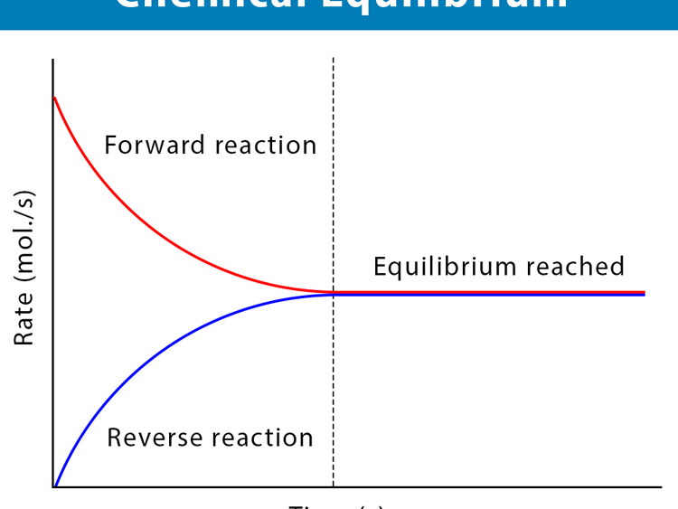 Equilibrium- Higher tier