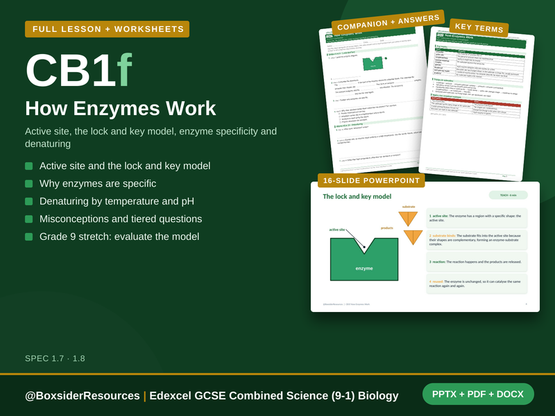 CB1f How Enzymes Work | Edexcel GCSE Combined Science (9-1) | Lesson + Worksheet
