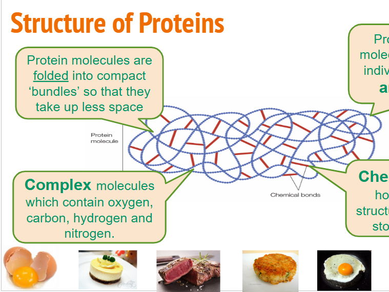 GCSE Food Prep & Nutrition: Protein Food Science