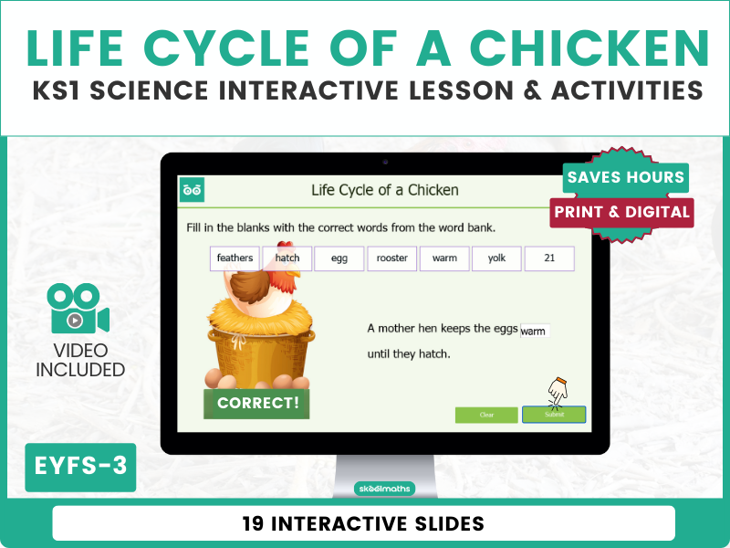 Life Cycle of a Chicken – KS1 Science Lesson & Workbook | Animal Life Cycles | EYFS–Year 3