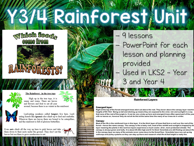 LKS2 RAINFOREST Art / Geography Unit 16 lessons Teaching Resources