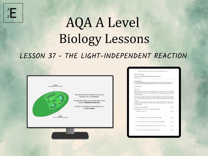 AQA A Level Biology Lesson 37 - Photosynthesis and the Light Independent Reaction