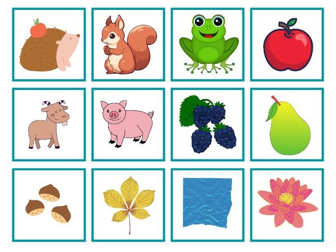 Ouch picture book activities print outs