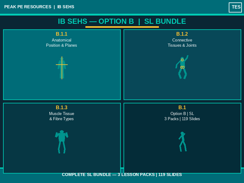 IB SEHS | Option B Complete Bundle | Movement and Sports Injuries | B.1 SL | 3 Lesson Packs