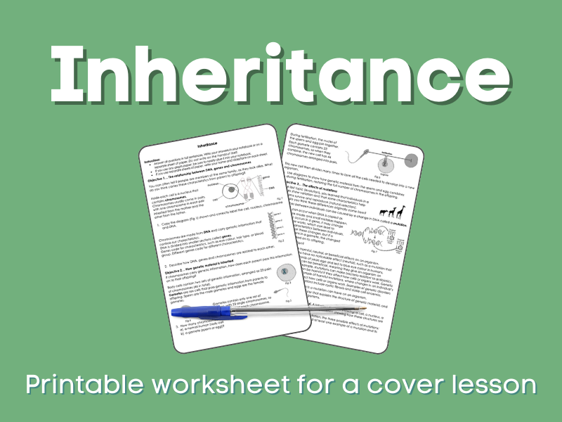 Inheritance Cover lesson