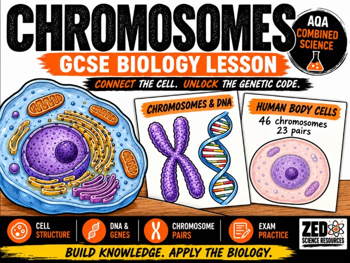 AQA GCSE Biology: Chromosomes, DNA and Genes Lesson | KS4 Combined Science