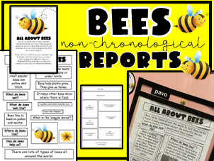 Bees Non-Chronological Report Organising Text Features