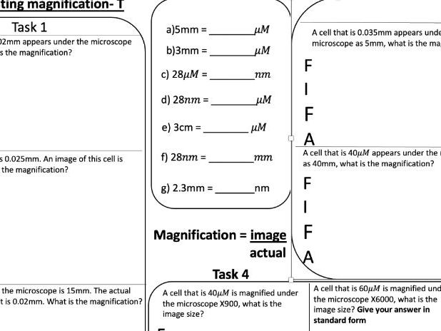 Calculating Magnification worksheet