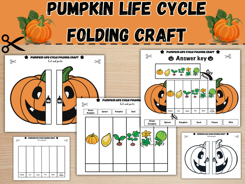 Pumpkin Life Cycle Folding Craft l Fall Art Activity| Printable October Project