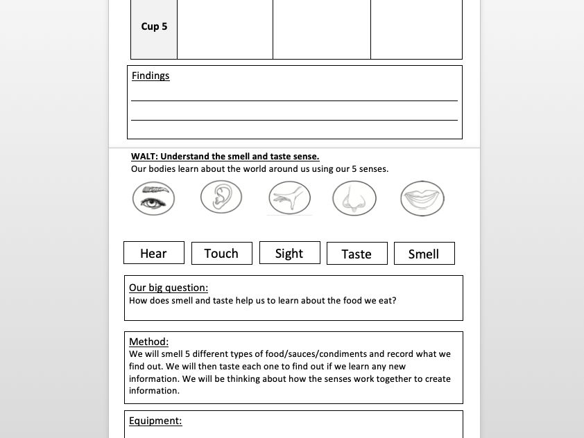 Science KS1 smell and taste senses Investigation worksheet activity