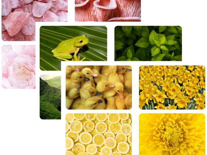 Colour Matching in Nature