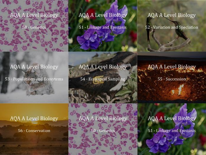 AQA A Level Biology Presentations Chapter 7 - Genetics, Populations, Evolution and Ecosystems