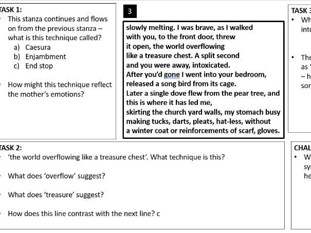 Poppies - Jane Weir  LA worksheets