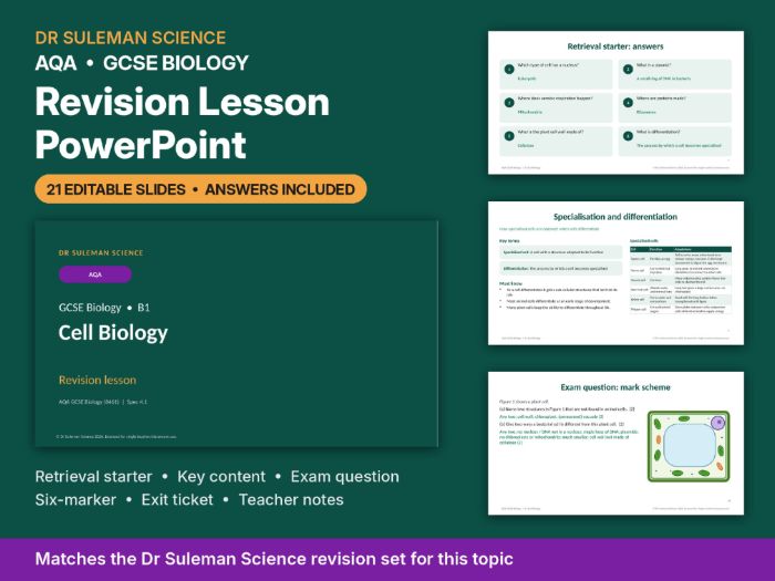 AQA GCSE Biology B1 Cell Biology Revision Lesson PowerPoint