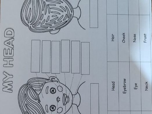 English lesson- Body Parts 