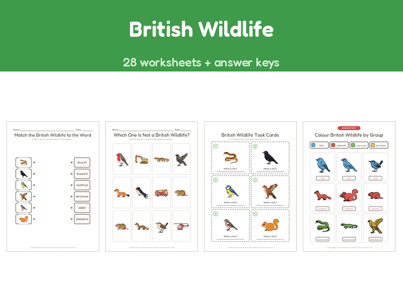 British Wildlife | 28 No-Prep Worksheets + Answer Keys | Ages 5-7