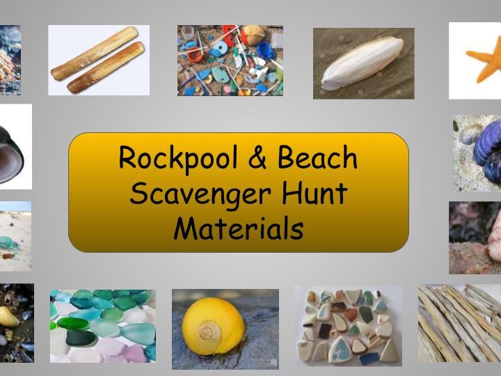 Beach Trip Materials - including a scavenger hunt and a rockpool creature guide