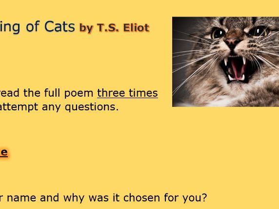 Poetry KS3/S1/S2 - The Naming of Cats Worksheet