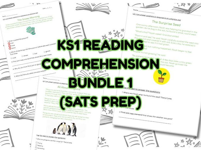KS1 READING COMPREHENSION BUNDLE (SATS PREP)