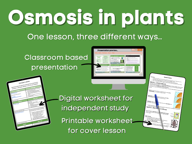 Osmosis in plants Lesson bundle