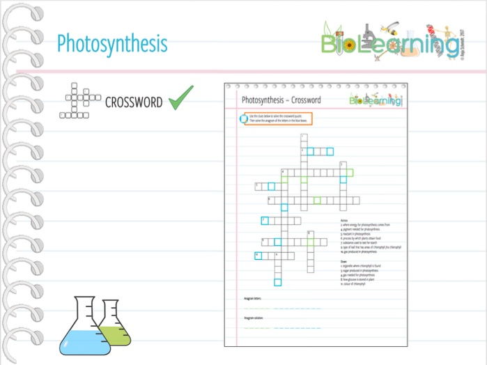 Photosynthesis - Equation - Crossword (KS3/KS4) | Teaching Resources