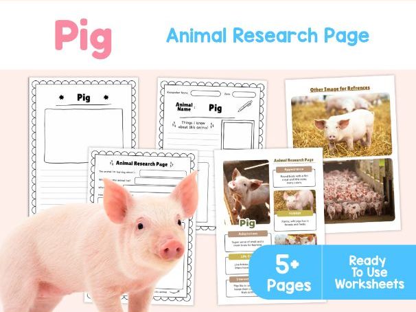 Pig Animal Research Project | Farm Animal Science Worksheets