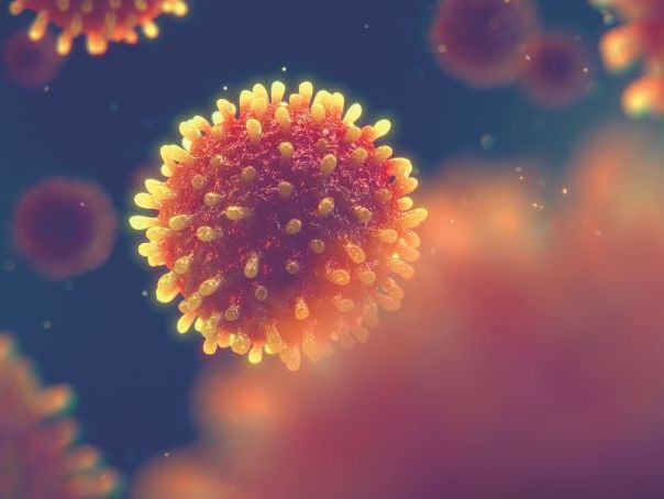 KS4 & 5 Biology: How do researchers make sure new vaccines are safe?