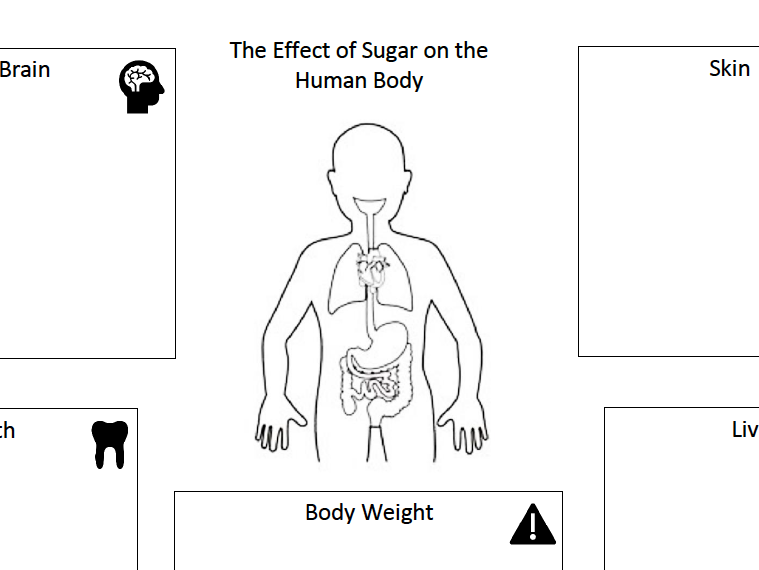 Food & Nutrition: Effect of sugar on the body WS