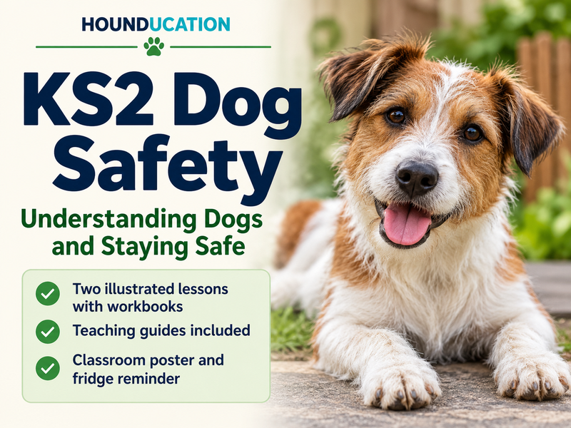 Dog Safety for KS2 - Understanding Dogs and Staying Safe
