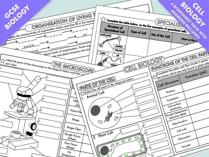 GCSE Biology: Cell Biology Worksheet Pack UPDATED